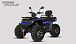 Квадроцикл PROMAX TAURUS 300 MAX-PRO LONG в Новочеркасске