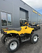 КВАДРОЦИКЛ IRBIS ATV 250  в Новочеркасске