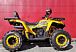 Квадроцикл PROMAX STORM 280 LUX в Новочеркасске
