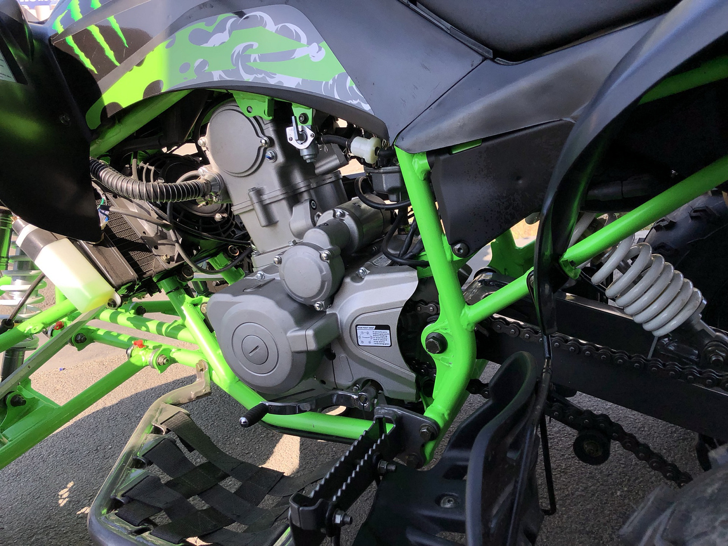 Квадроцикл PROMAX RAPTOR 300 NEW Monster в Новочеркасске