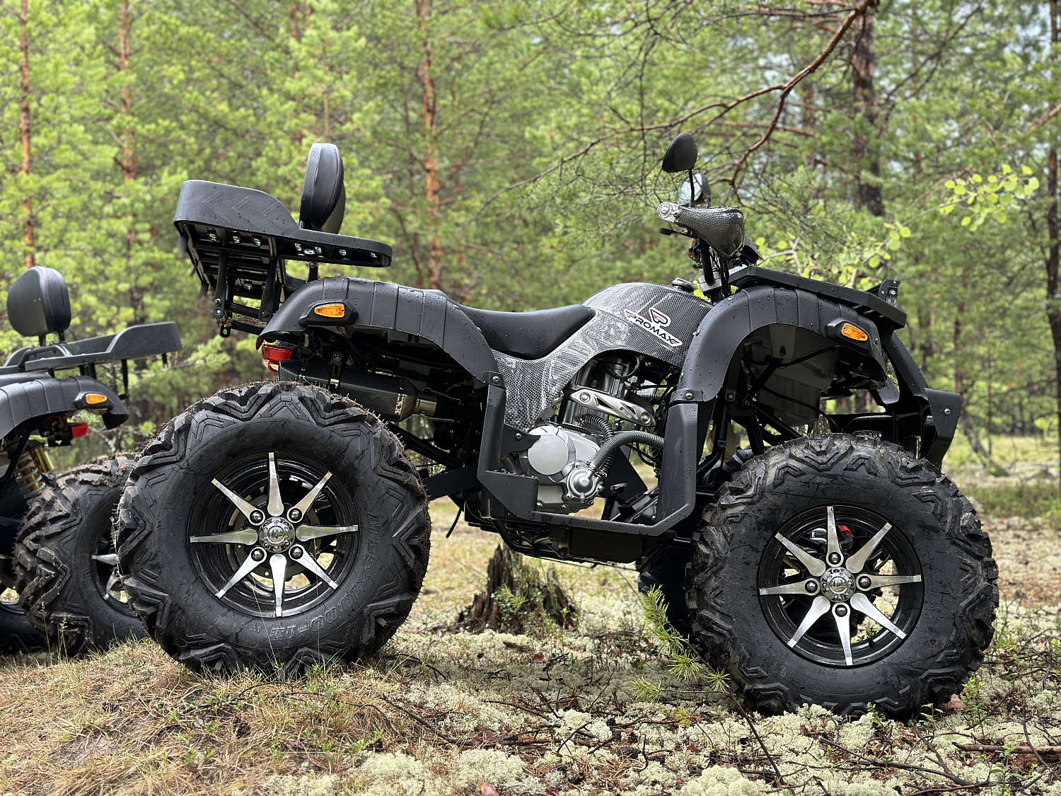 Квадроцикл PROMAX 320 DOMINATOR (2025) в Новочеркасске