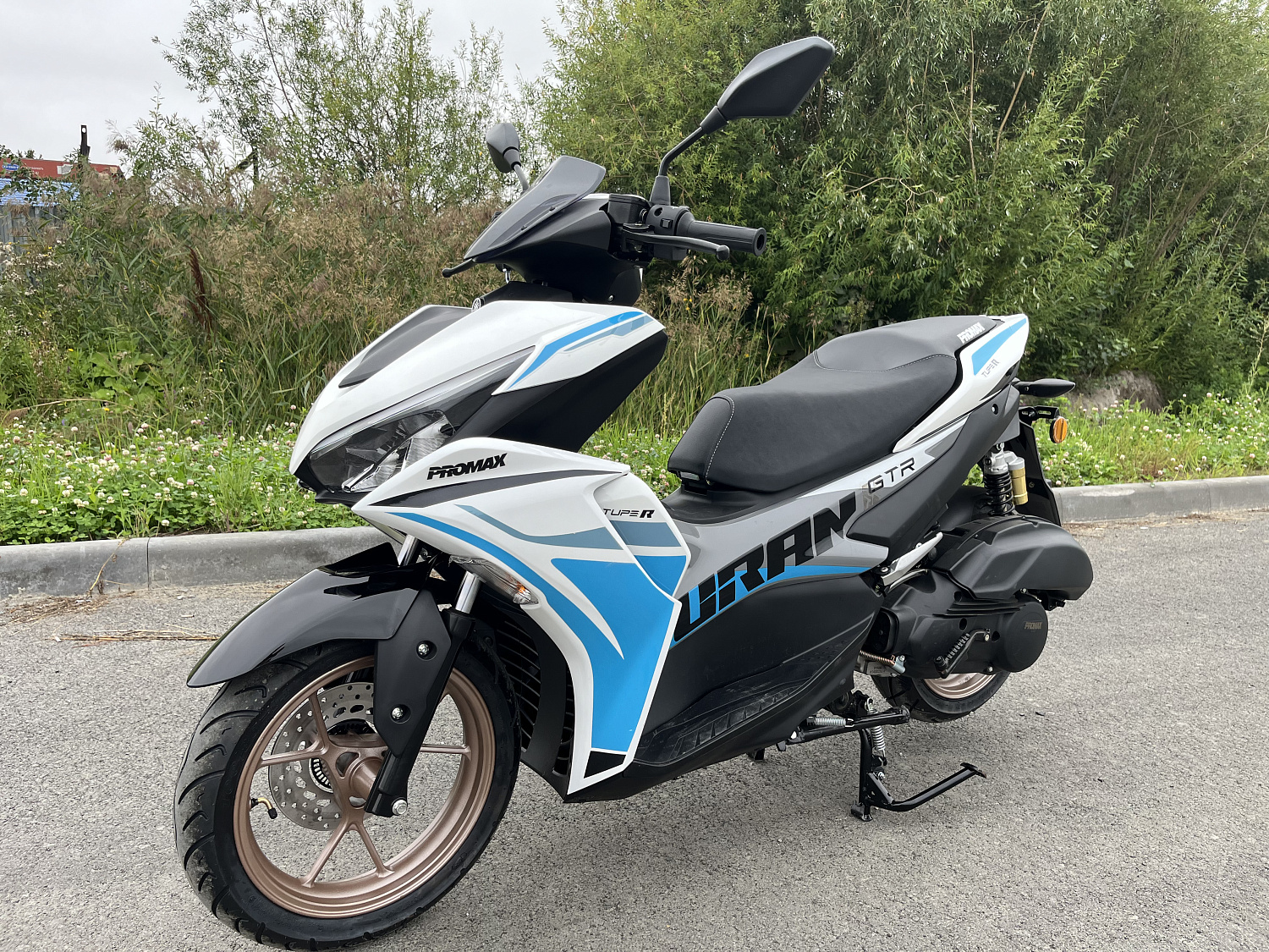 Скутер PROMAX TURAN 250 (49) в Новочеркасске