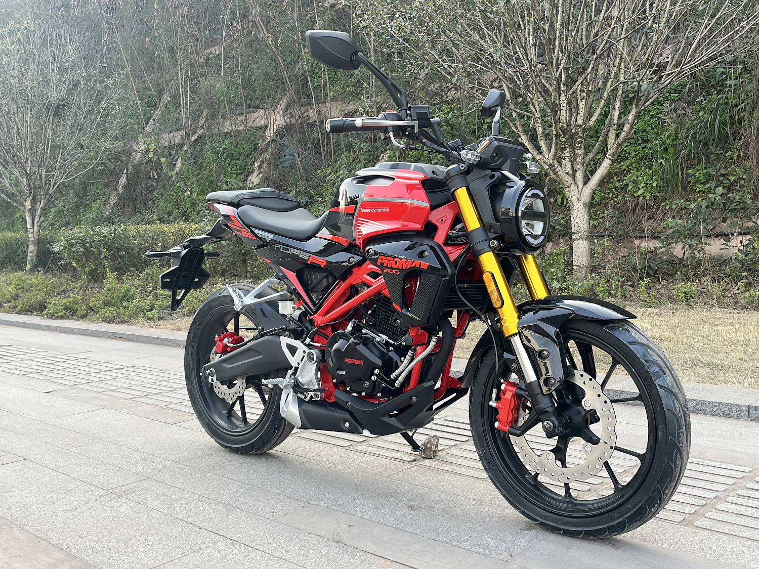 Мотоцикл PROMAX CB300 в Новочеркасске