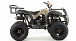 Квадроцикл MOTOLAND (МОТОЛЕНД) 200 ALL ROAD в Новочеркасске