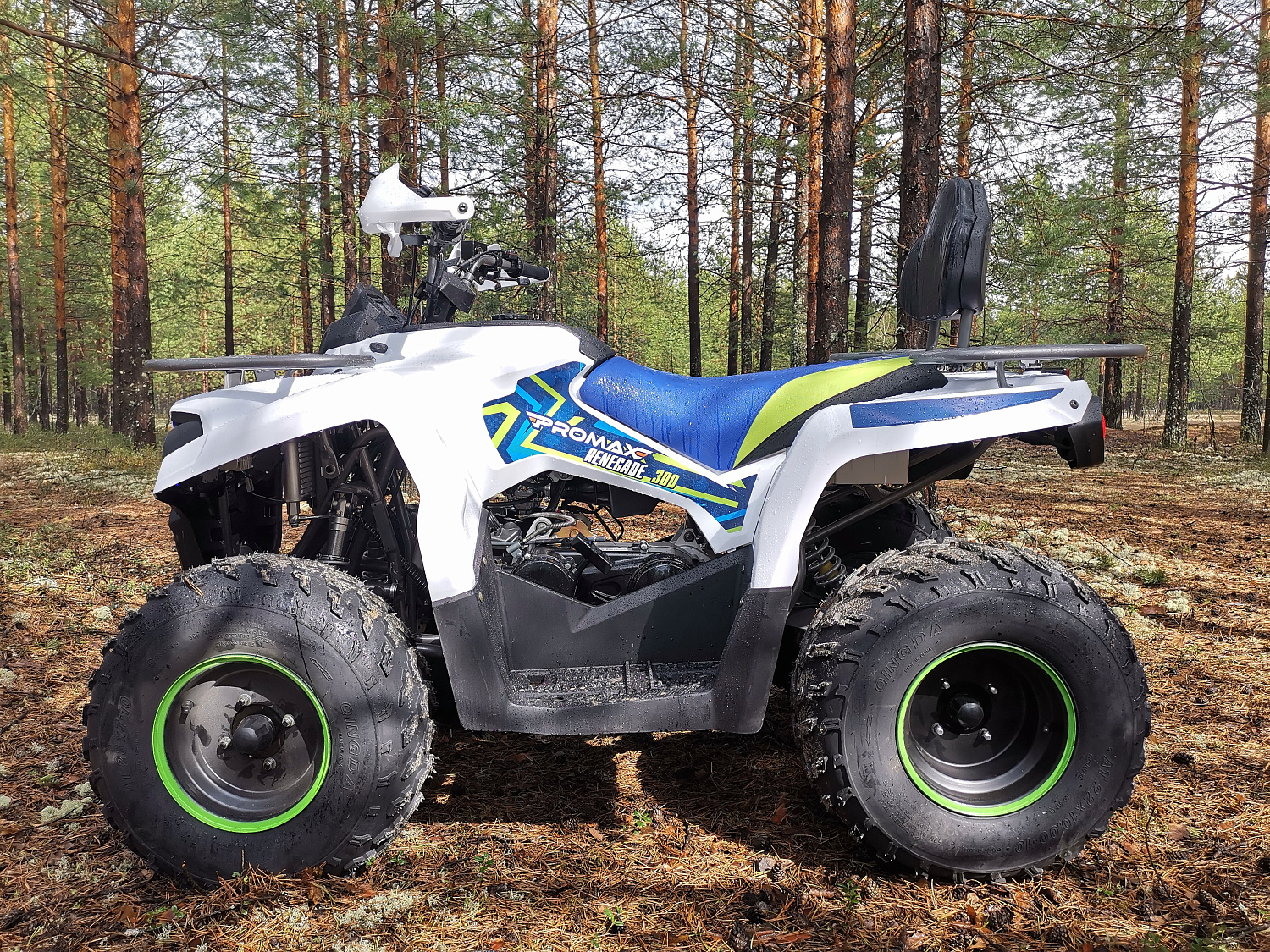 Квадроцикл PROMAX RENEGADE 280 (2025) в Новочеркасске