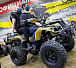 Квадроцикл PROMAX ATV 250 (2025) в Новочеркасске