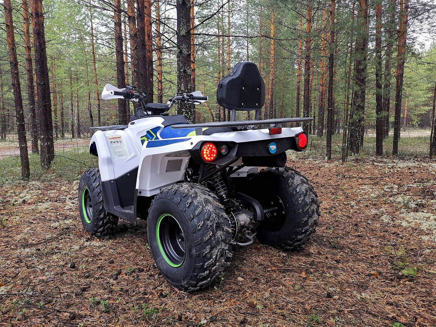 Квадроцикл PROMAX RENEGADE 280 (2025) в Новочеркасске