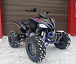 Квадроцикл PROMAX RAPTOR 300 NEW RedBull в Новочеркасске