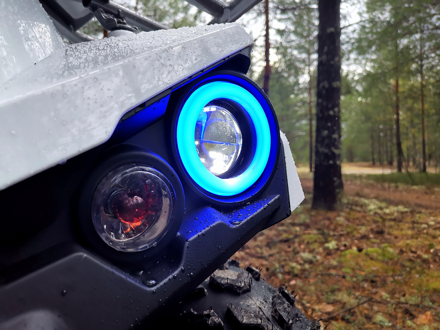 Квадроцикл PROMAX RENEGADE 280 (2025) в Новочеркасске