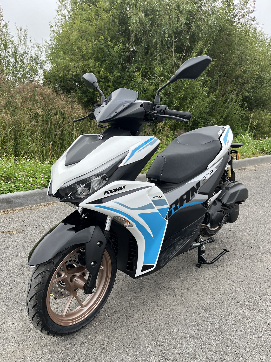 Скутер PROMAX TURAN 250 (49) в Новочеркасске