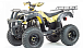 Квадроцикл MOTOLAND (МОТОЛЕНД) 250 ADVENTURE в Новочеркасске
