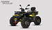 Квадроцикл PROMAX TAURUS 300 MAX-PRO LONG в Новочеркасске